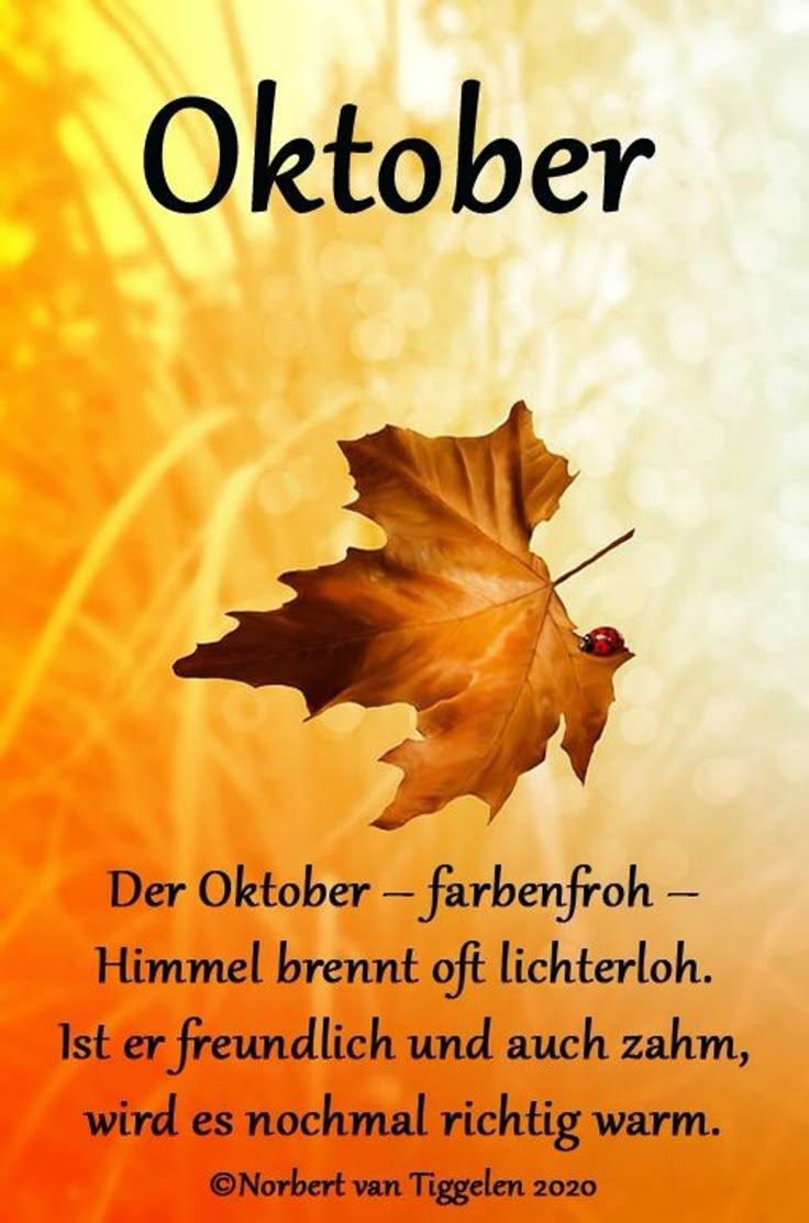 d783cb20c4af85a8931ccd3984e04e47