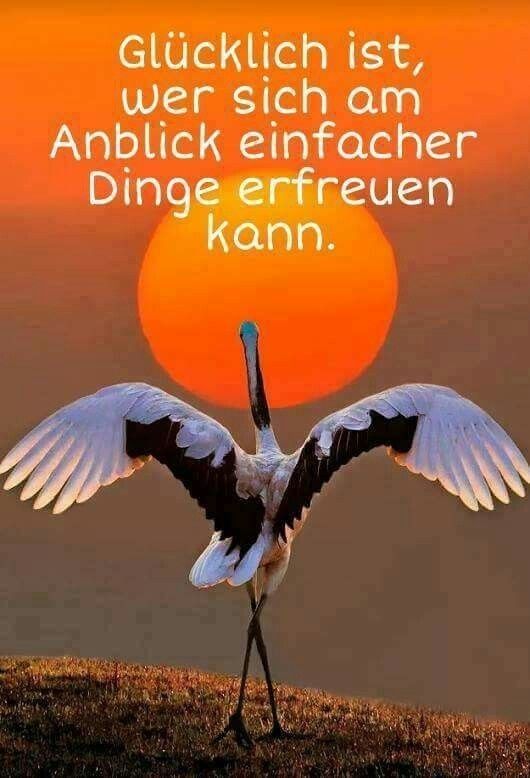 d8d0c5b11b433ca692b13f6661a81447