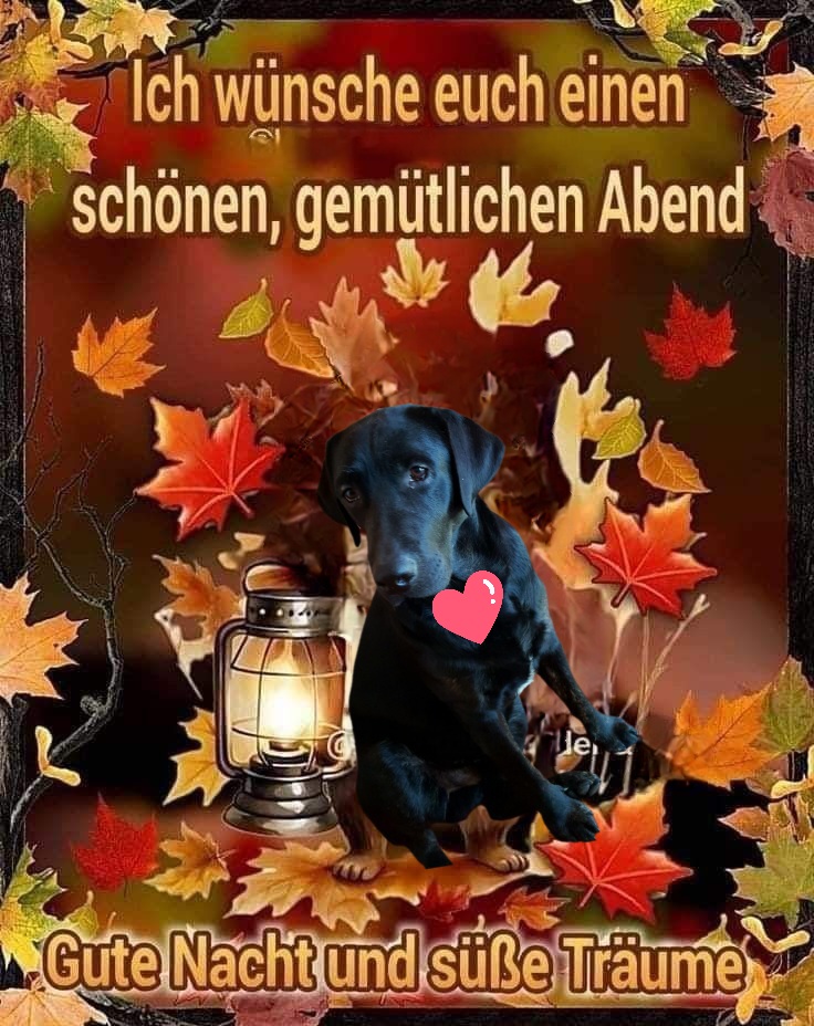 dab4efb054a78d2eddecca5d431cd889