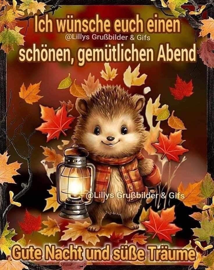 dab4efb054a78d2eddecca5d431cd889