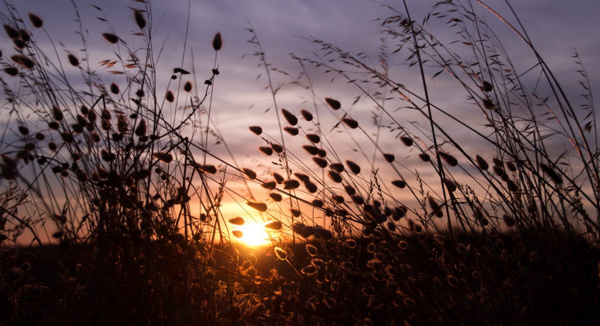 Danke sagen für die Beileidskarte