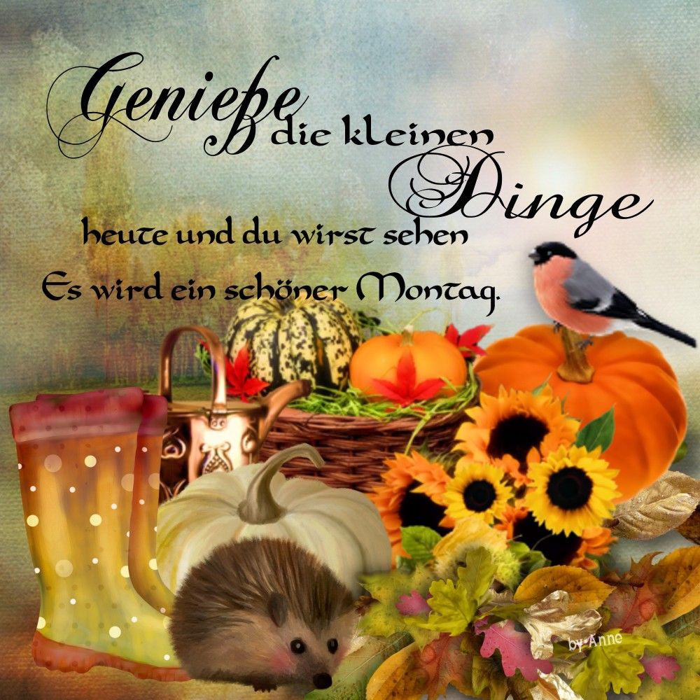 db7b842e3ec8b5795e86c6b577bf5817