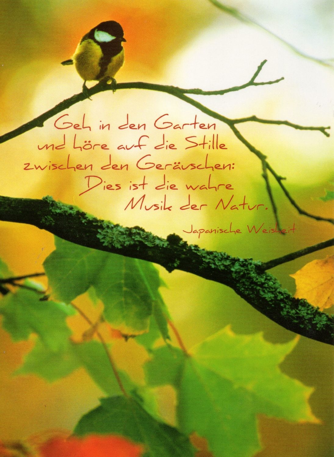 dbee4f40a66b4d51b7ef8143ccdeac6f