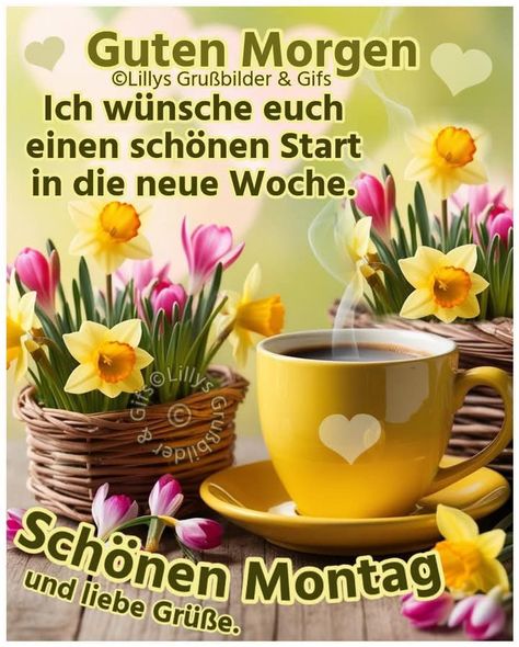 ddc17622602246d81d5de129f7765546