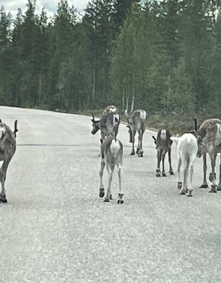 de23b4_e92e6f3448bd49e09468bcfdd68d2f75~mv2