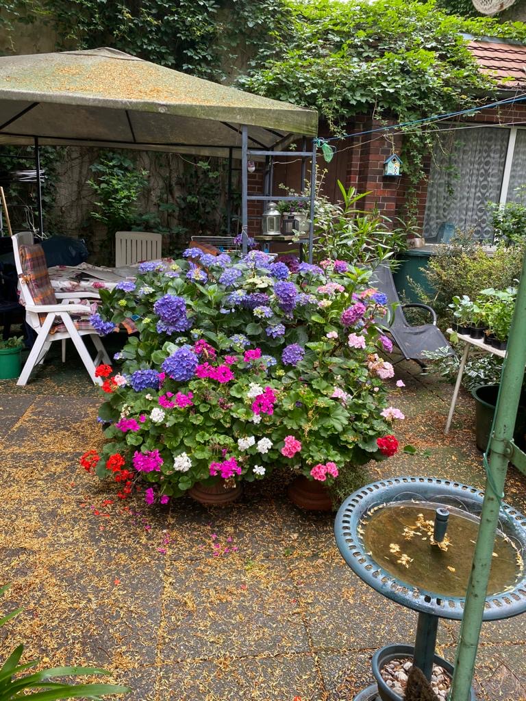 e0edac9b-7711-420e-9a36-43709edfba58