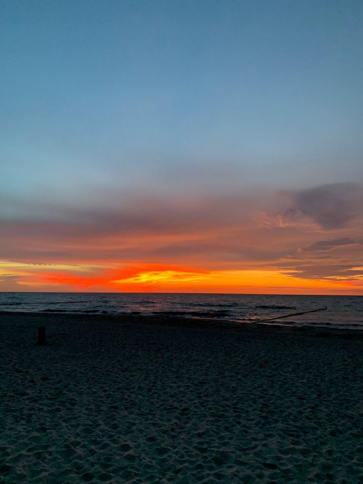 e221f269-d2b1-4d31-b5b2-038ffb4ef943