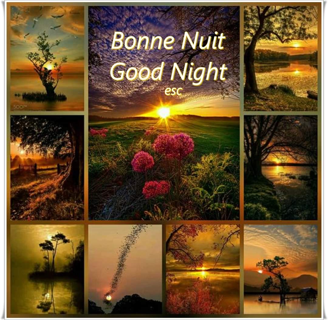 e79ee68f-e93a-4cd7-b9cf-e7c428c7aadb