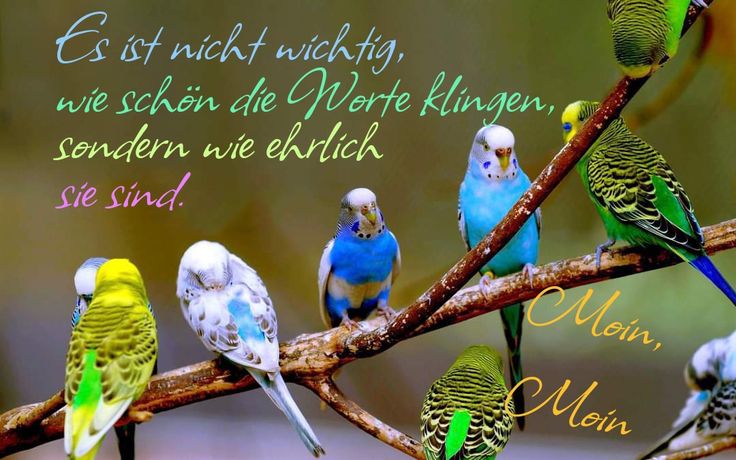 e8b0956c333e14391c2acd8e222835d3