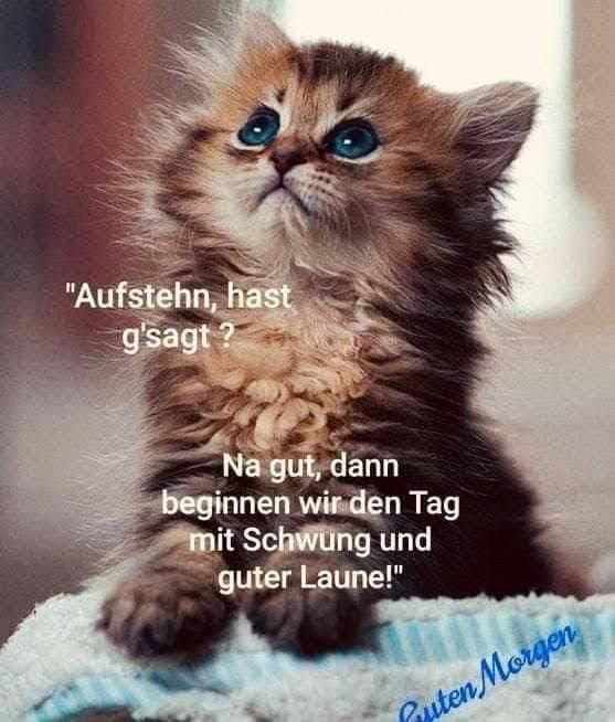 edb78ee1-b5e1-4096-b005-568cb932be46