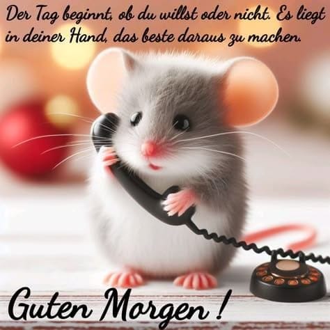 edd2fe50-86b4-4dcb-8700-cd66920d8c6f