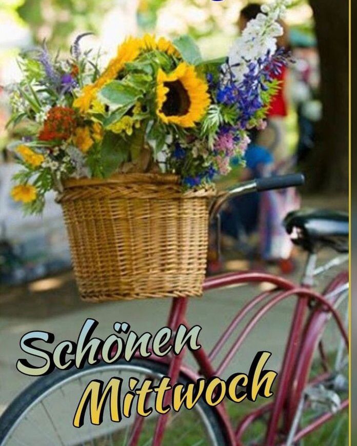 ede6a5d6-4f0c-4582-bf72-21a0563378ae