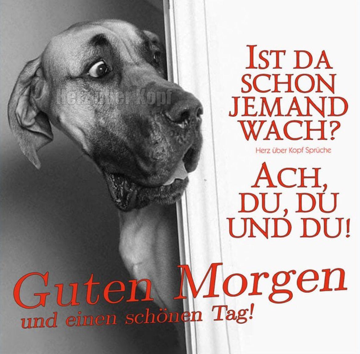 eef3a180-6e6d-4e28-b7b2-2f10d6523399