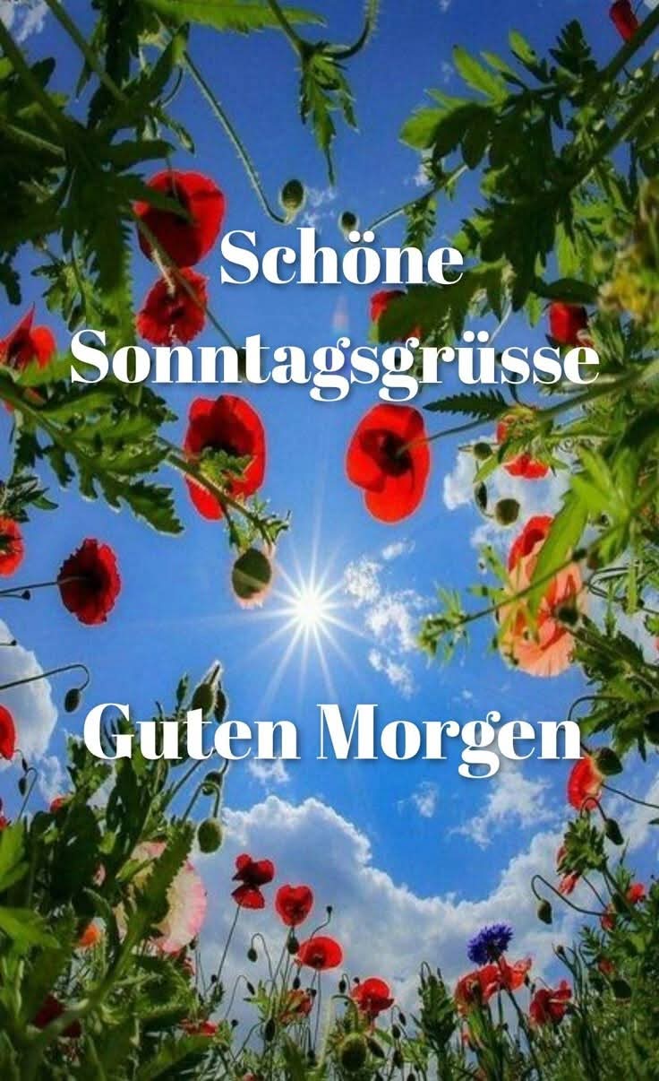 efb058da-e39c-4f29-be9c-3d13f761ff9c