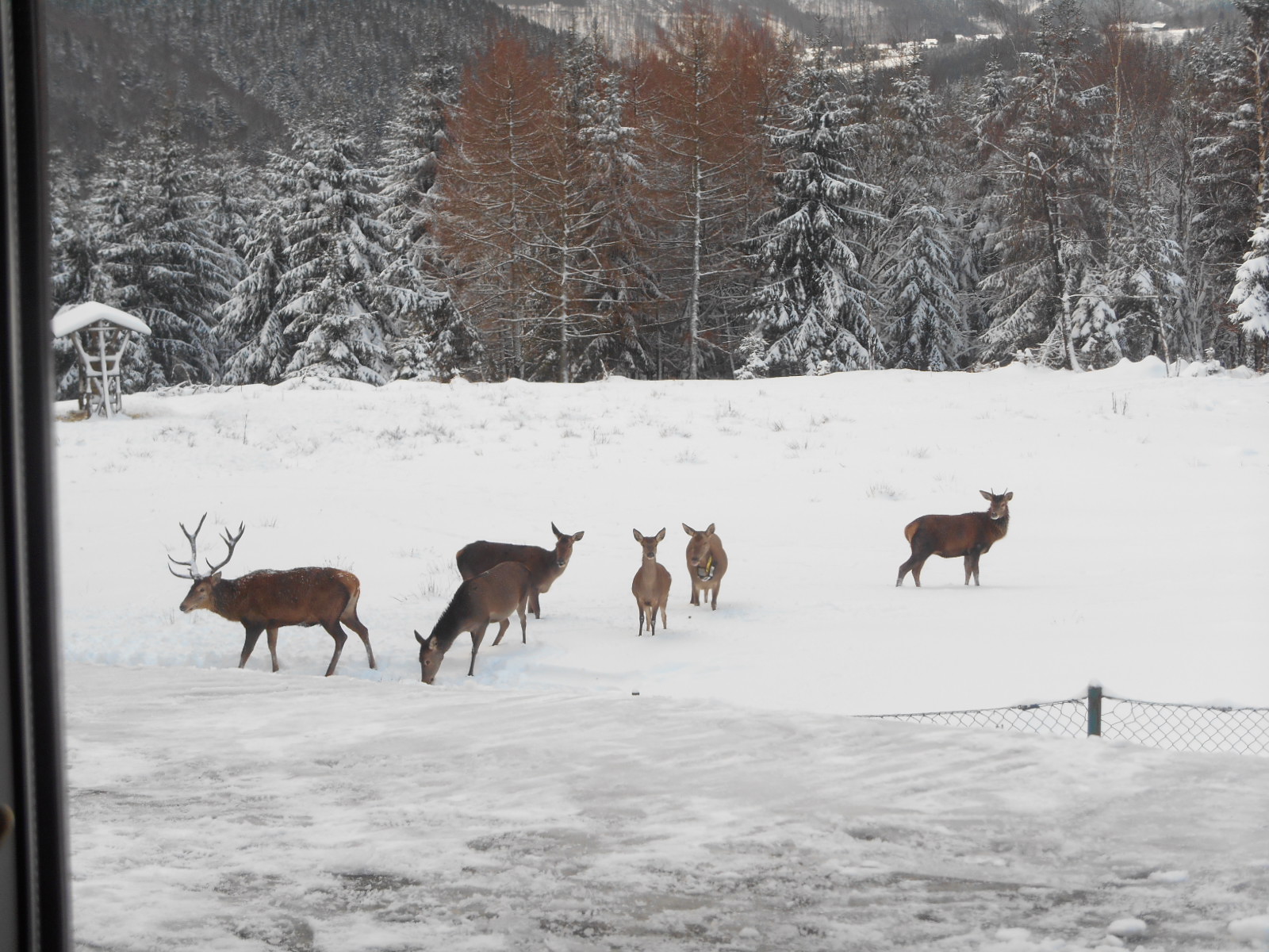 ein Tag in Oberhof 012