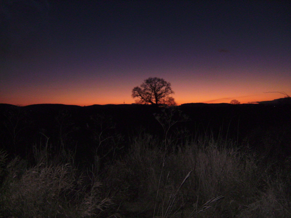 eine-weihnachtsnacht-ebff2f9d-2460-46ea-9055-ef840cd7f03d