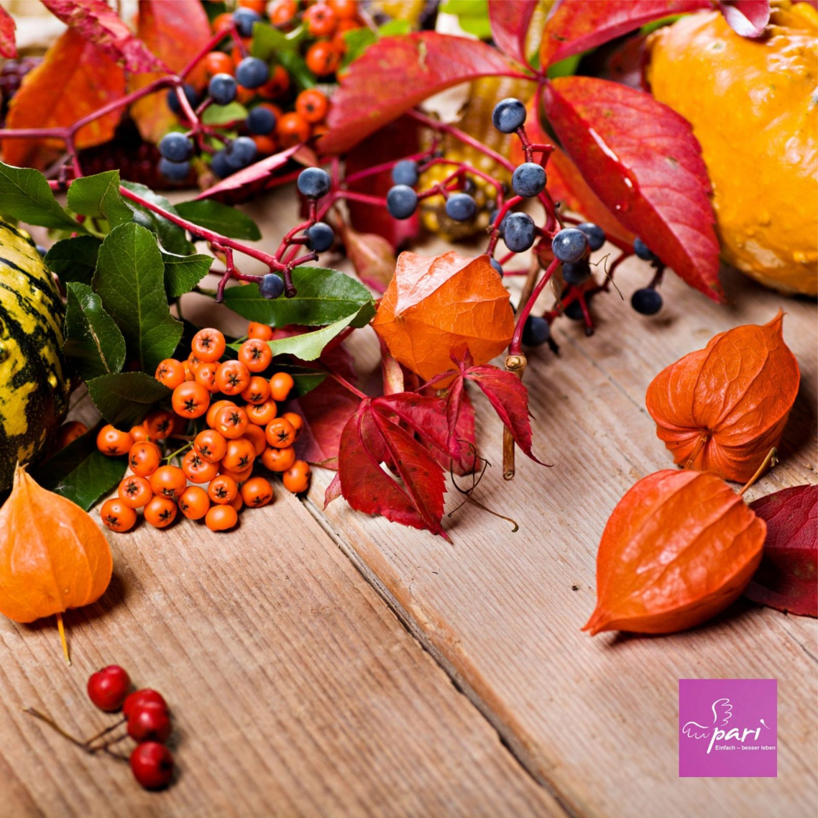 f124e345406776cbec9487e707ab6fd3