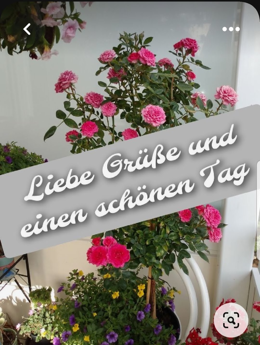 f1841da0-3be6-4aa7-a1e4-11abd53f95ff