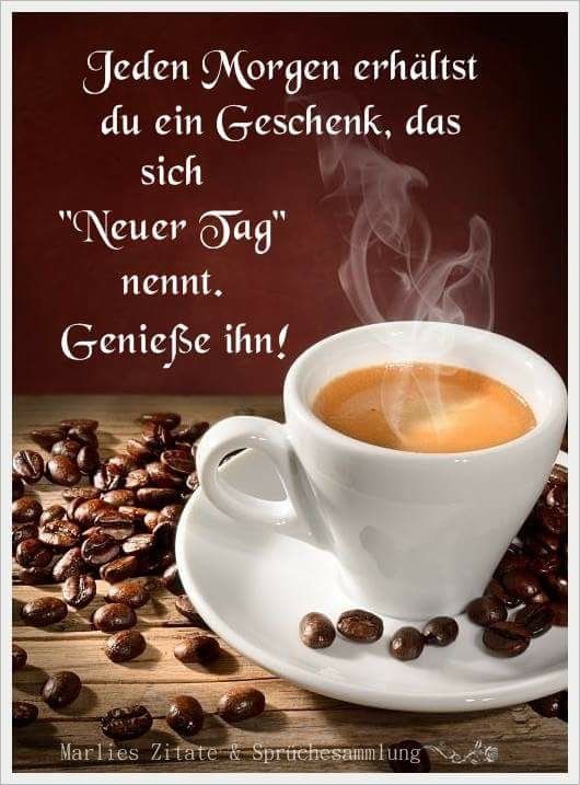 f37f9f94a07bc04c4a3cca7bb4c76748.jpg ein neuer Tag