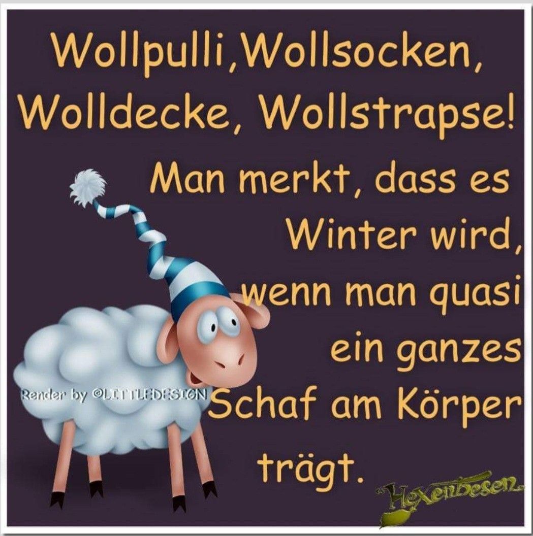 f8c8f8b61e5e71841335c970b647d4ec