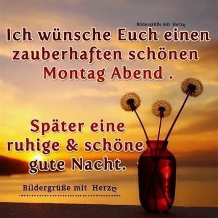 f8d0aba885808a09ccde8e63eecc43ae