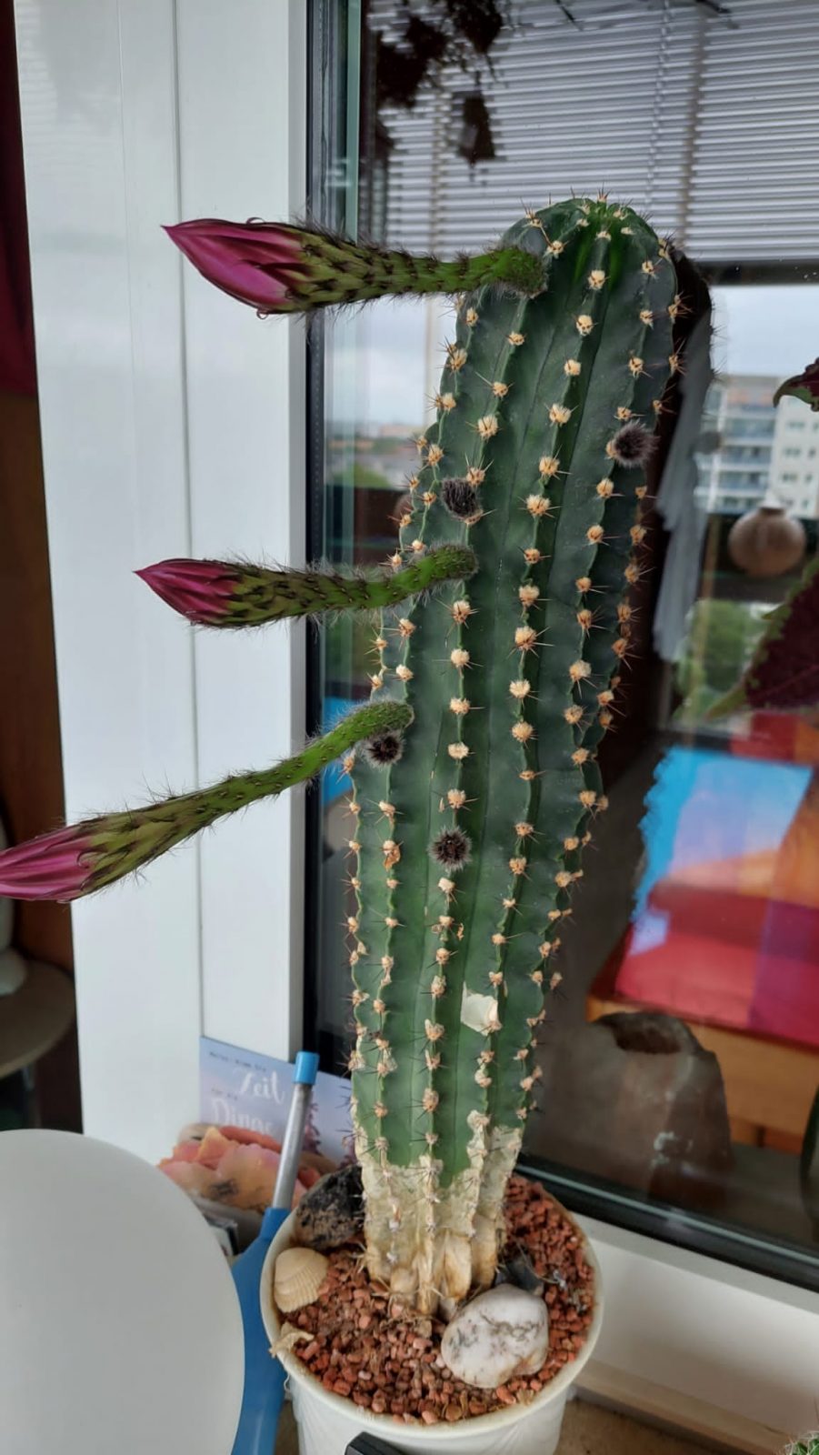 f96e417e-b444-4d76-b840-d819c374d937