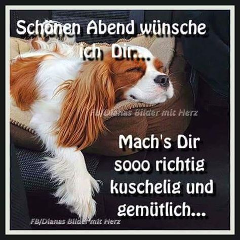 f9b2d2f82ce6e5b4c2069595d6a7226a