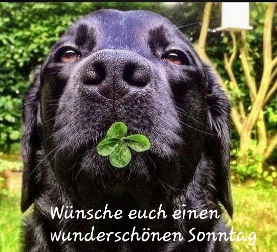 fa1b19cb47746f8d1ece4cd340f212fa