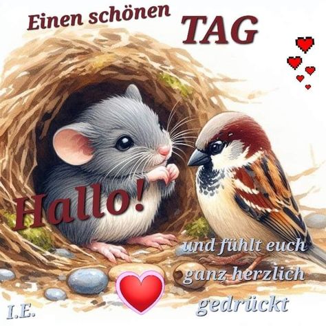 fb709e092f0539c7fc4df1aabe498431