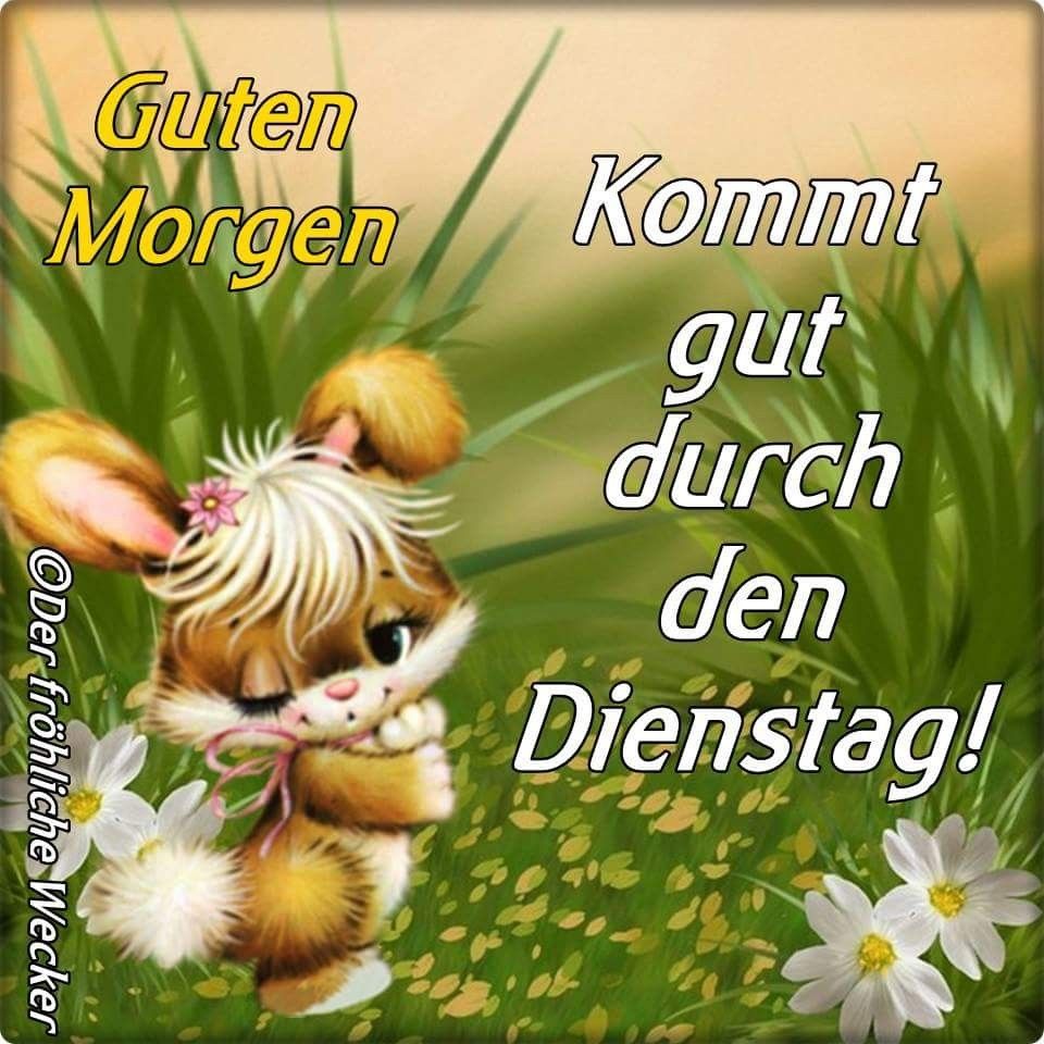 fd68656db13d80cc2b73713379ad9dbf.jpg Dienstag