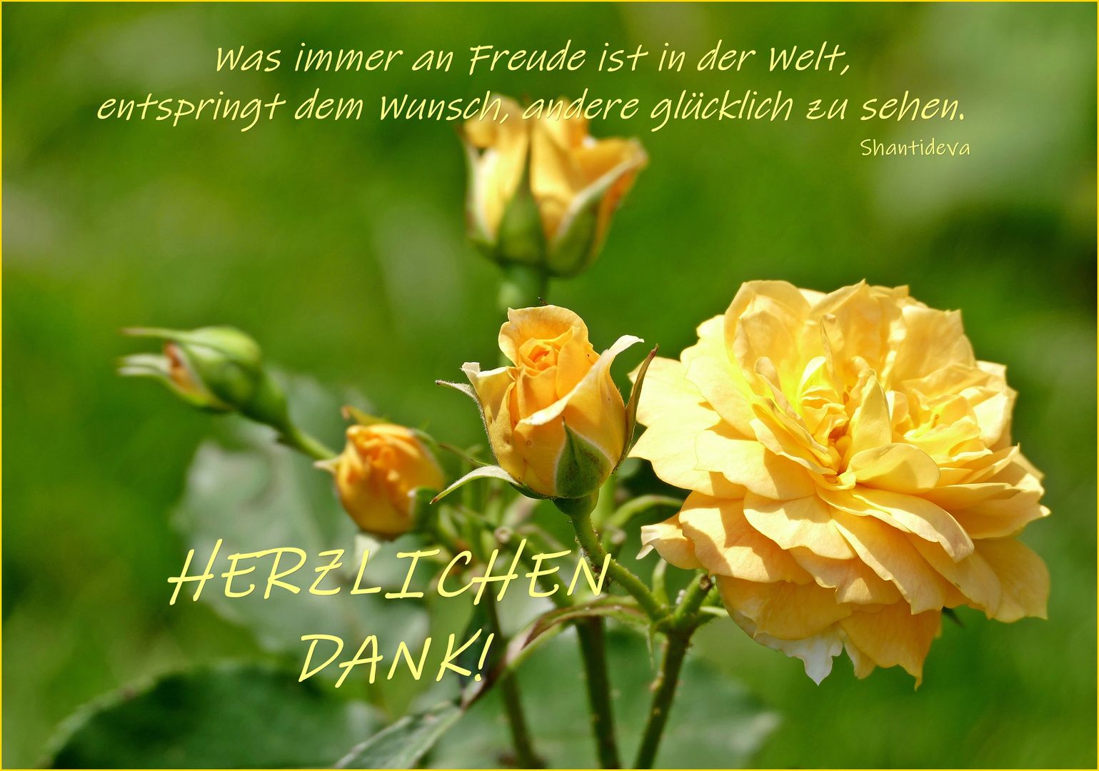 fe7e4df9a552017169cc5b5d63d3d9be