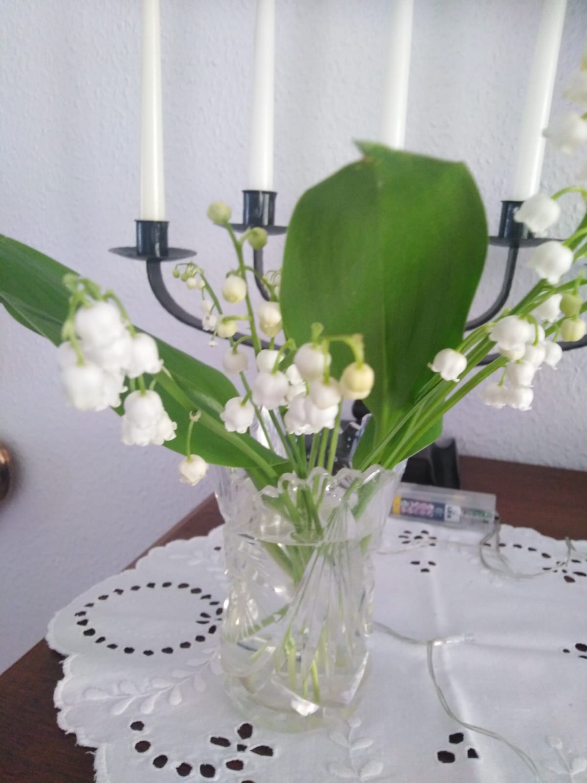 ff284749-f8d2-4604-8e0c-4852b32da89b