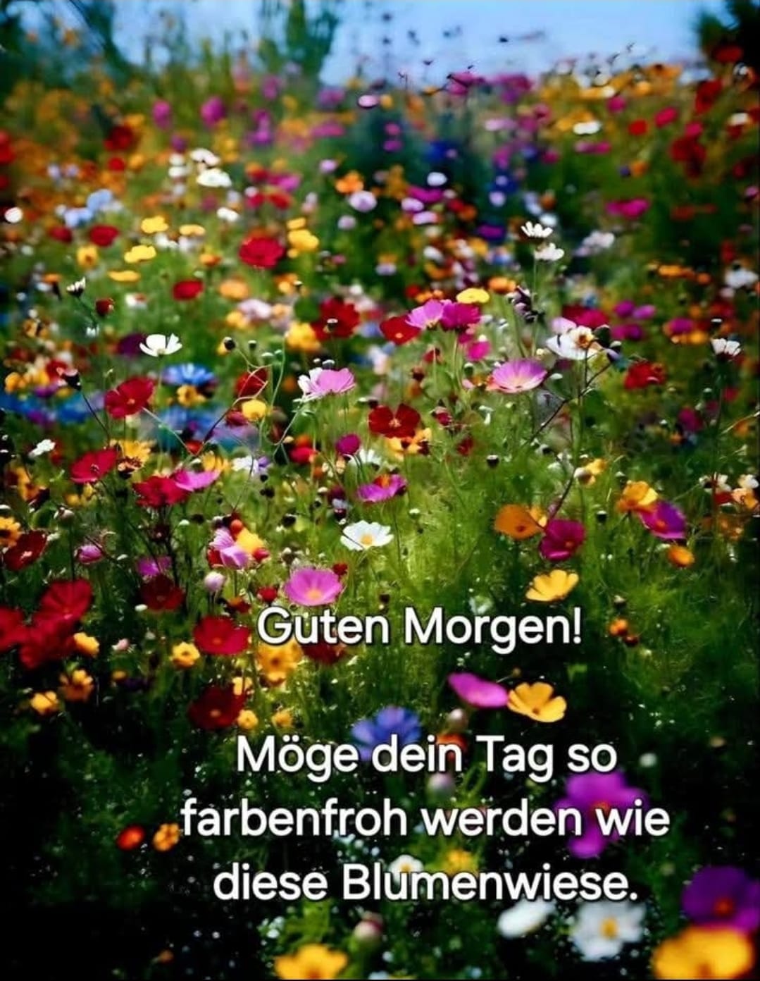 ff3dbbaf-6a2f-40a3-9442-79e10d8ee012