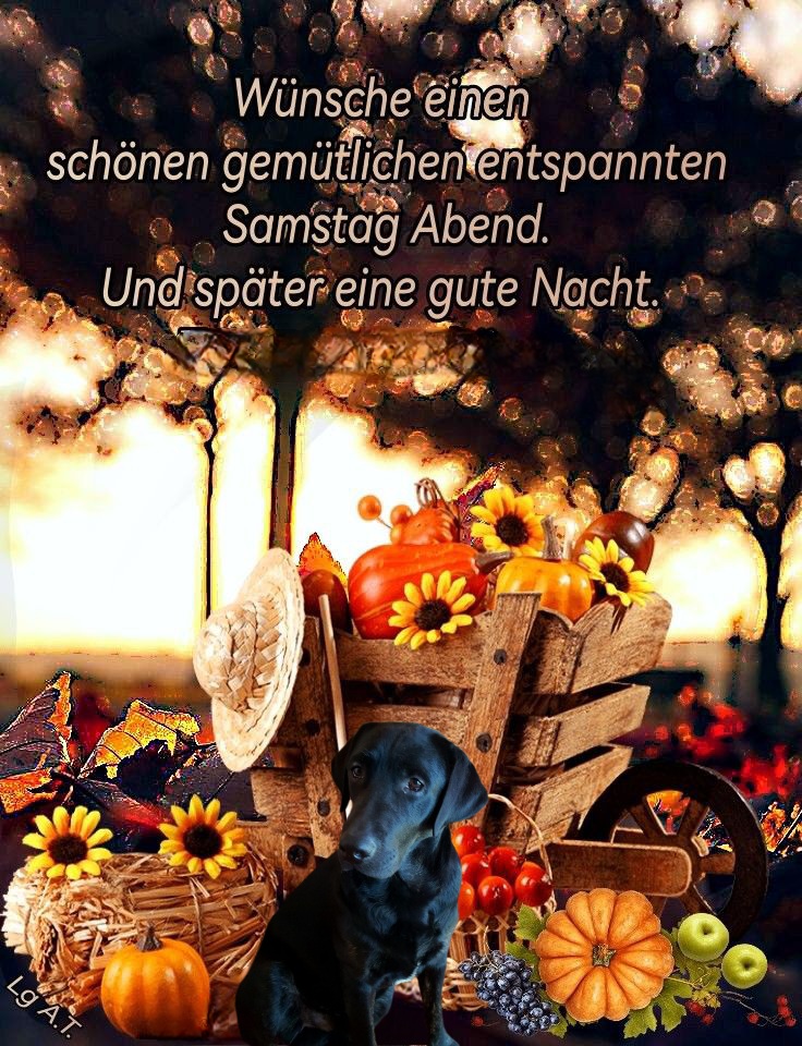 ffe1f9e606ef39cf3514a404b7253f42