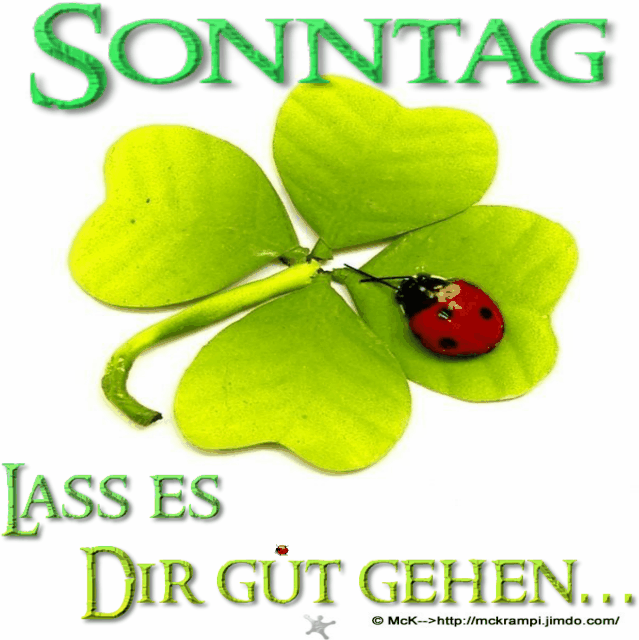 ffec7a32f74dfc4181d8a7ce5826d7f8.gif sonntag