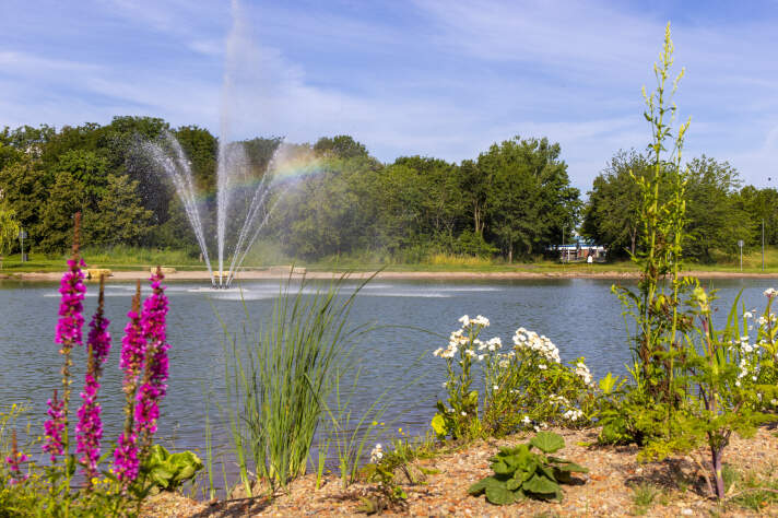 fittosize_65_712_0_9c132a6b9fceaaab66c0e1e19e557979_2021-07-30_geraaue_m3_auenteich__102__kl (1)