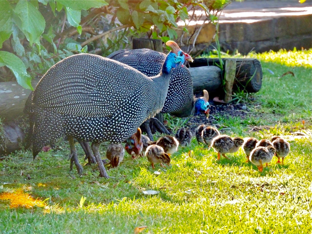 fullsizeoutput_6b7 (3)