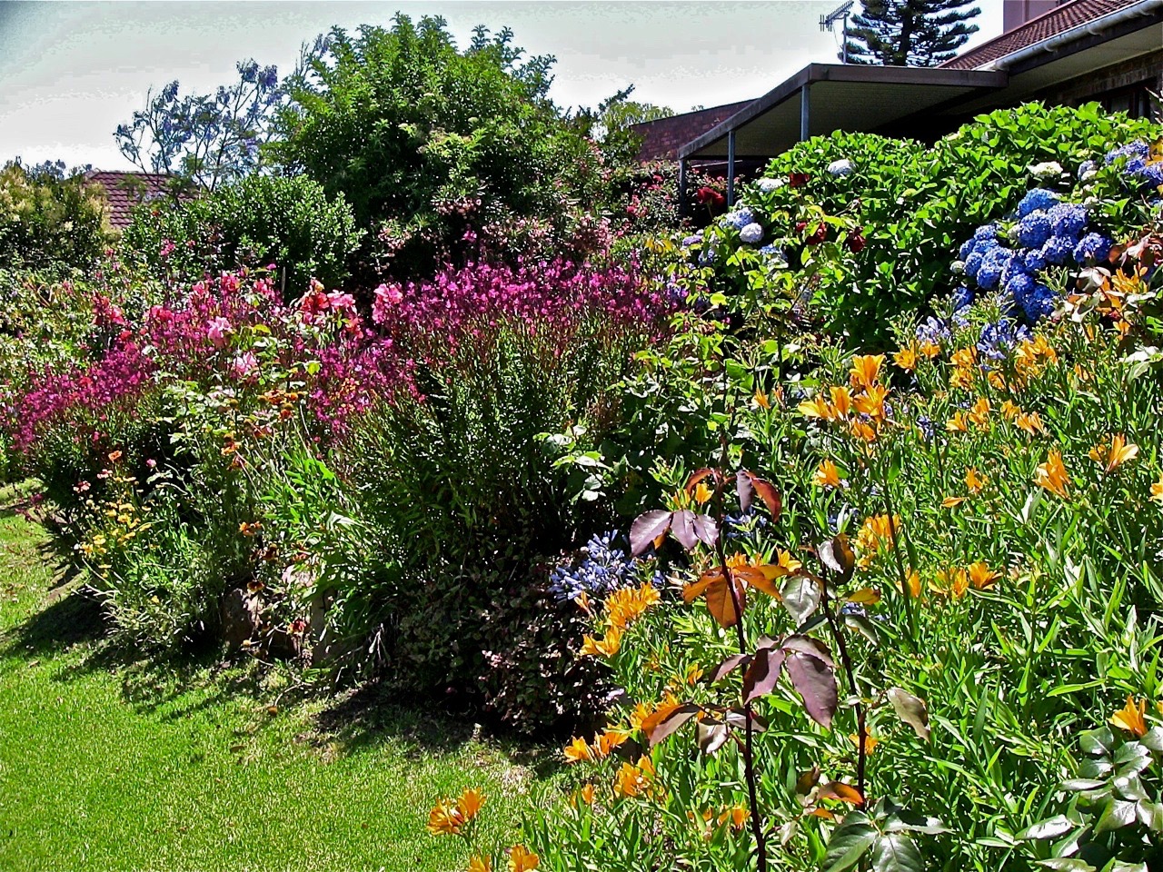 fullsizeoutput_716 (1)