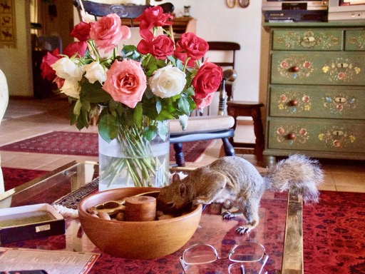 fullsizeoutput_755 (1)