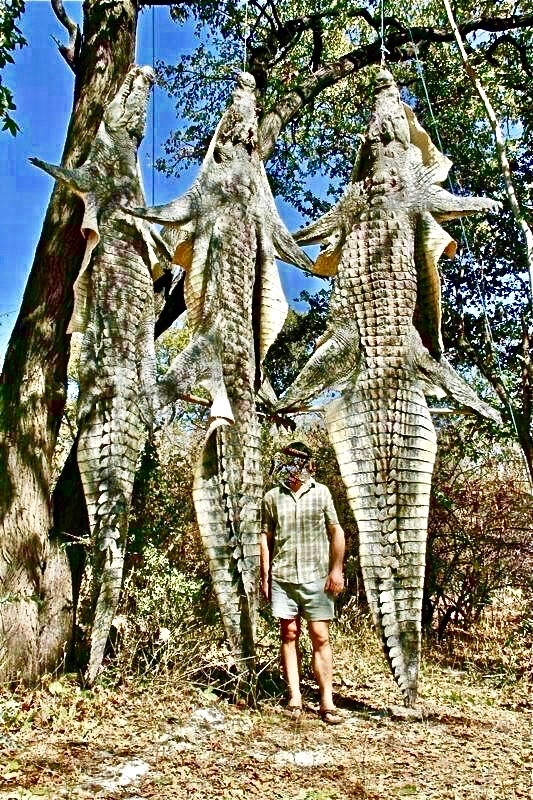 fullsizeoutput_83a (1)