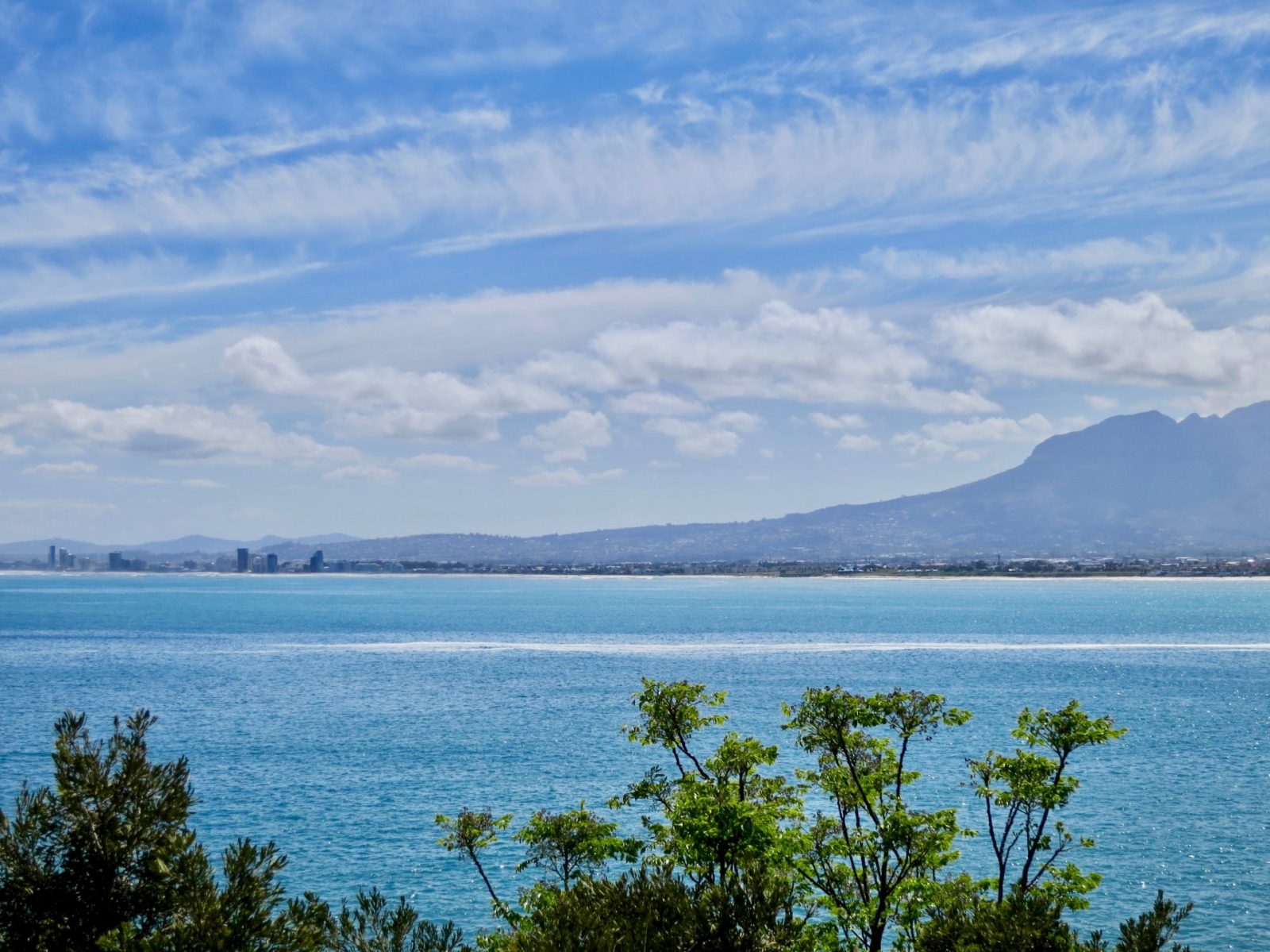 fullsizeoutput_dc (4)