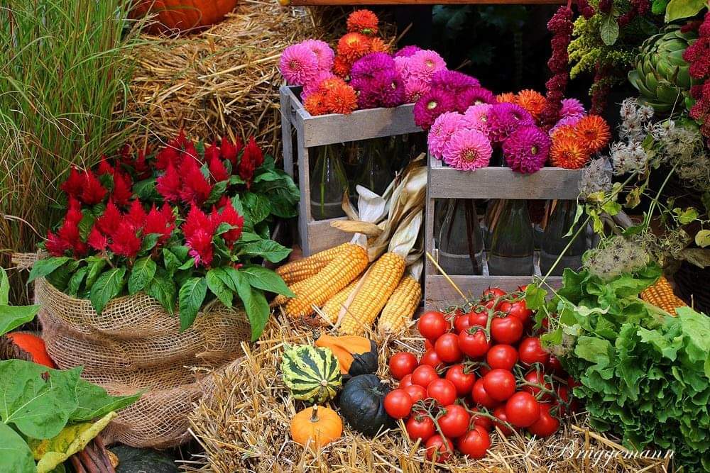 g.7348231.152980.2807728714