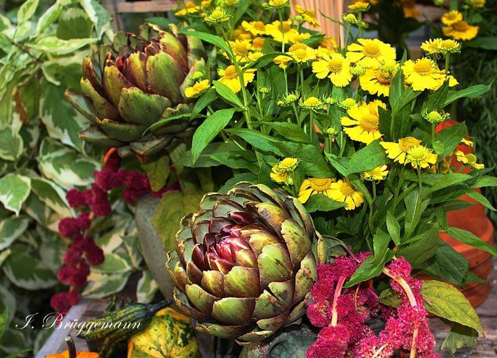 g.7348232.132491.3309836637