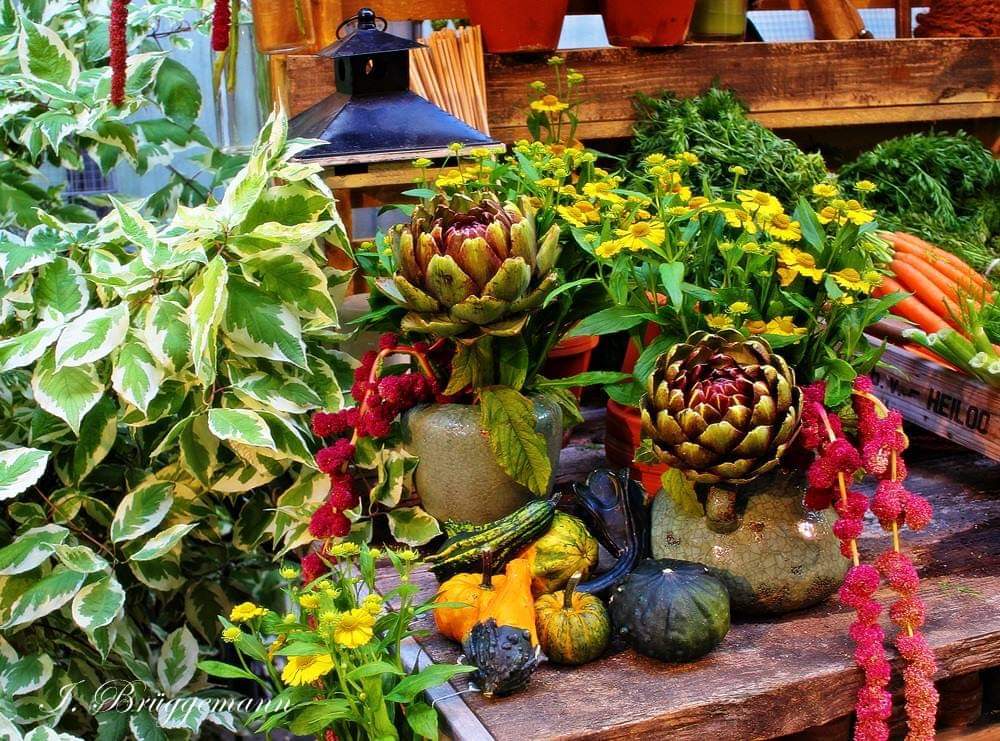 g.7348233.170235.2923210509