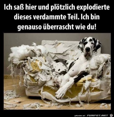 g.7490142.102069.3171556619