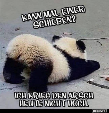 g.7545337.51626.24675472