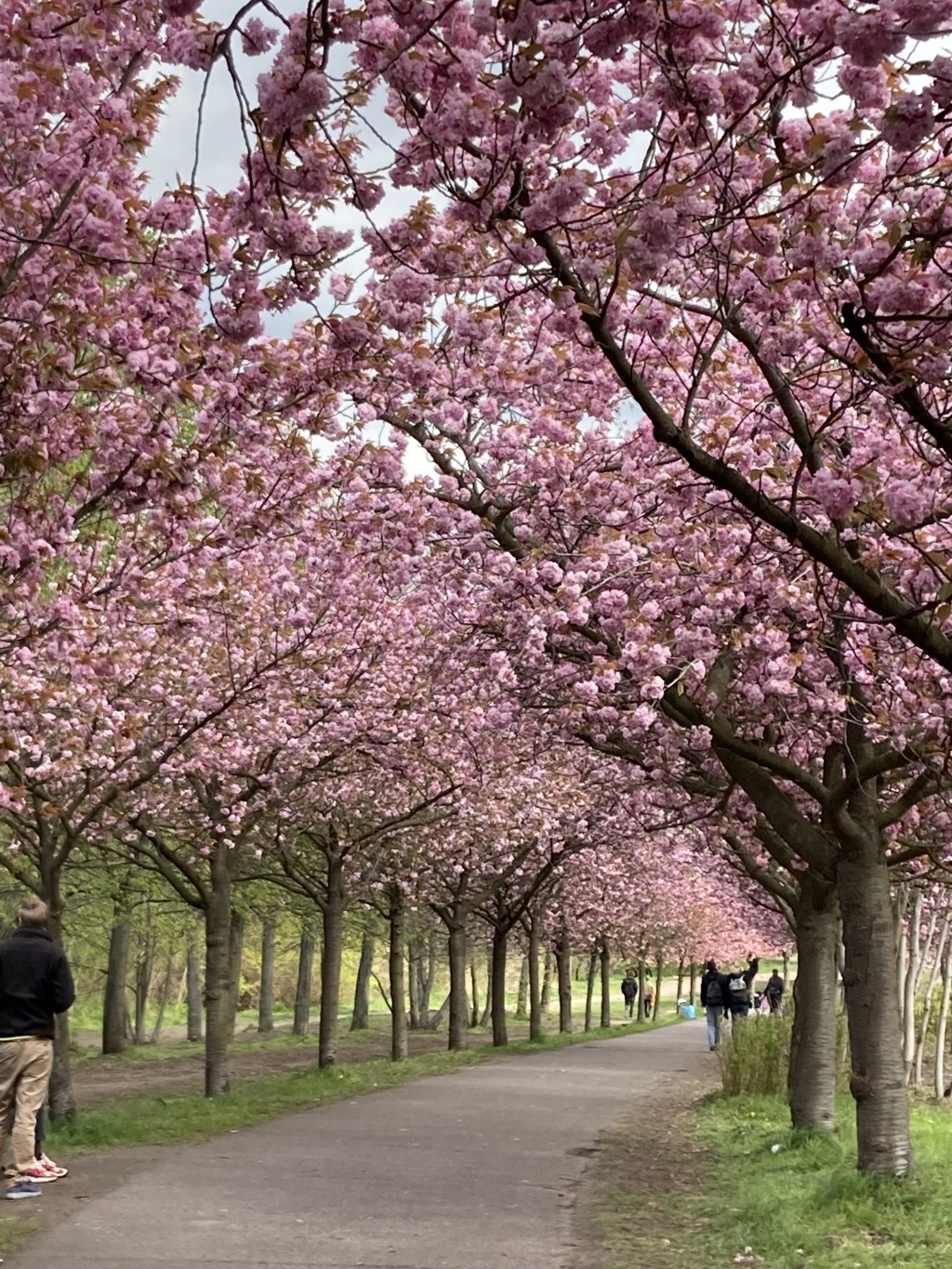 g.7970406.2810810.4261678999