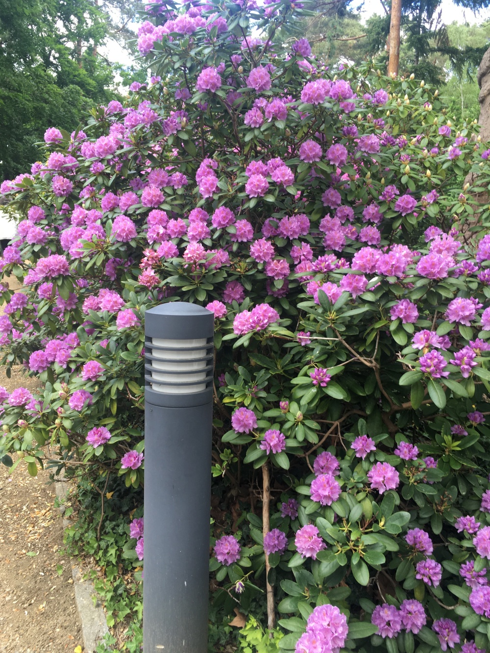 g.8023085.4049477.2039027881