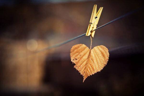 g.8359693.24137.793913061