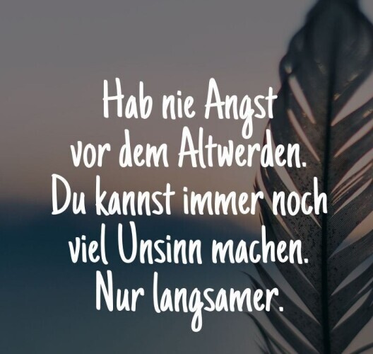 g.8867936.52335.2666843806